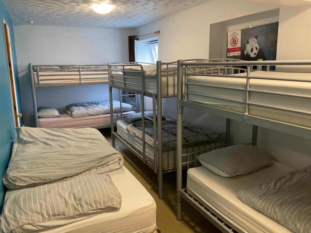 Blue Room Hostel Newquay New Quay Zewnętrze zdjęcie