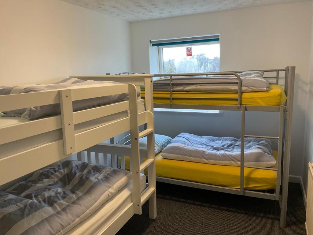 Blue Room Hostel Newquay New Quay Zewnętrze zdjęcie